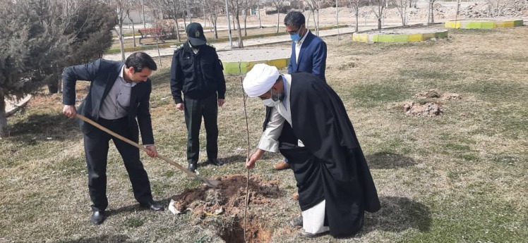 آیین غرس نهال به مناسبت بزرگداشت روز شهداء توسط آقای شیرازی شهردار شهر کرسف/1400